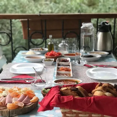 Atilla Bey Konağı Pansiyon *